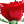 40 Hadiths game icon