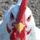 FARMA_Defence game icon