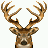 Big Range Hunting game icon