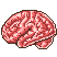 Brain Coach game icon