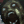 DEADZONES game icon