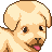 Dogz2 game icon