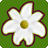 Flower Shop Star game icon