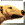 Greyhound_Racing_Multiplayer_240_320 game icon