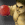 Knockout_Boxing_rebenoj game icon