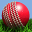 MVProCricket08 game icon
