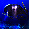 Operation Tornado game icon