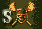 Pirates 2 game icon