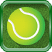 Pro Tennis 2018 game icon