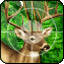 PsychoHunter game icon