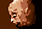 Resident Evil - The Missions game icon