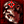 StayAlive game icon