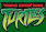 Teenage Mutant Ninja Turtles game icon
