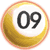 World Championship Pool 09 game icon