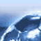 MPF2008 game icon