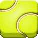 Pro Tennis 2015 game icon
